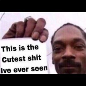 Meet your Posher, Maurice